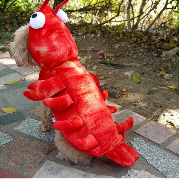 Halloween Pet Clothes Lobster Transformation Costume