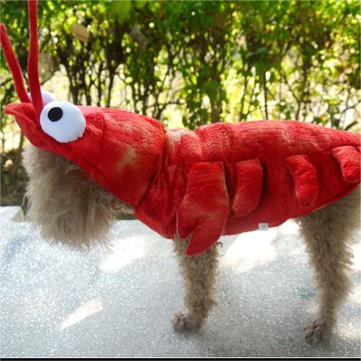 Halloween Pet Clothes Lobster Transformation Costume
