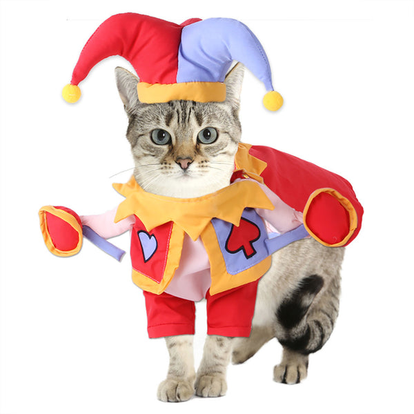 Funny Pet Clothes Magician Costume
