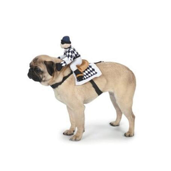 Funny Pet Costume Riding Suit