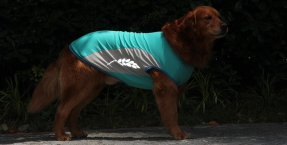 Summer Cooling Reflective Dog Vest