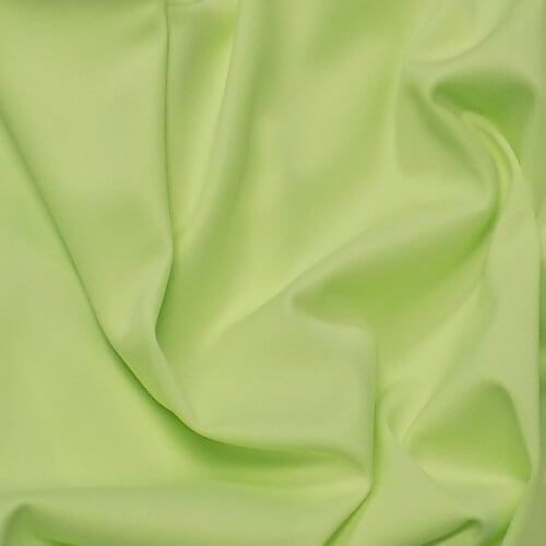 Premier Stage Skirt With Shirred Pleats