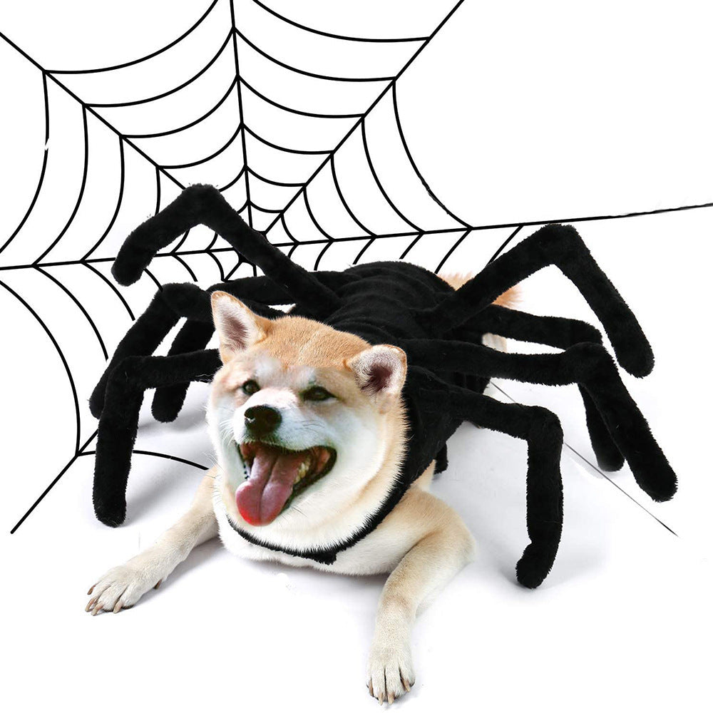 Halloween Funny Spider Pet Costume