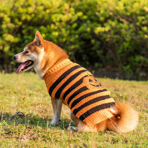 Halloween Pet Costumes Pumpkin Sweater