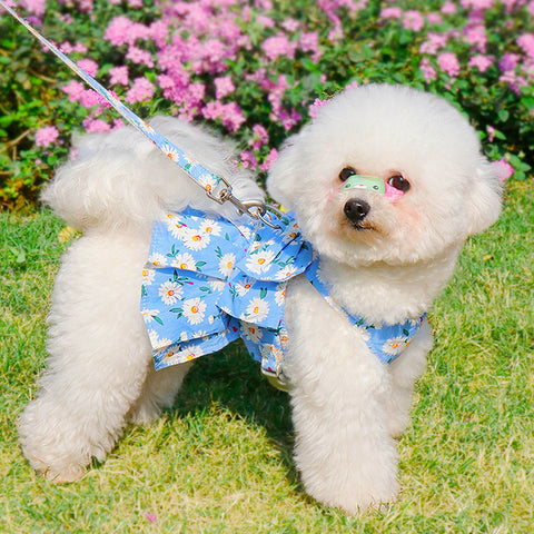 Dog Skirt With Harness And Leash Set Floral Dog Strap Dress