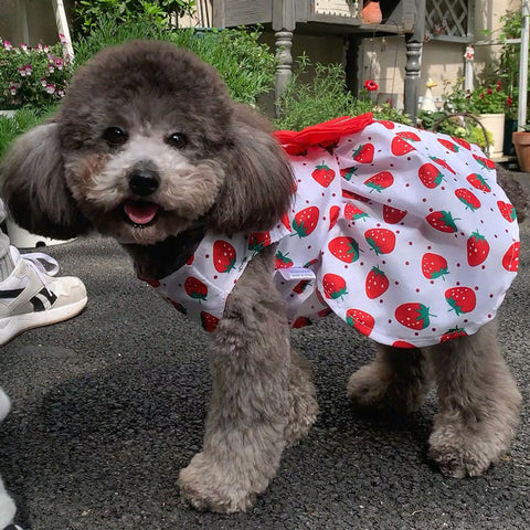 Spring And Summer Puppy Floral Vest Princess Dress