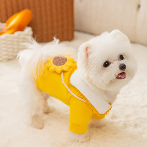 Halloween Costumes Cute Cartoon Pet Hoodies