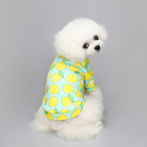 Pet Winter Warm Costume Cartoon Printed Velvet Dog T-shirt