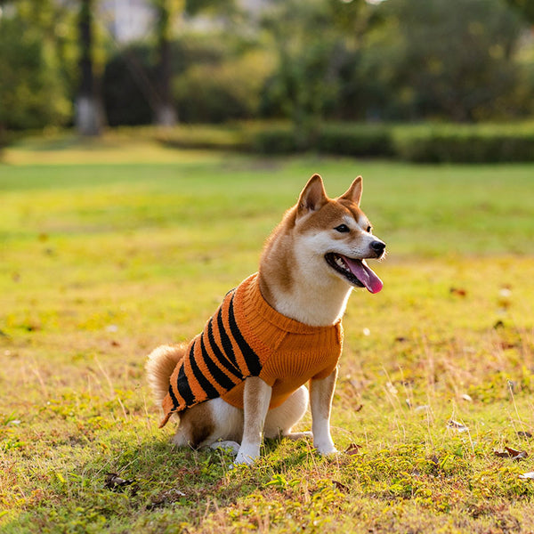 Halloween Pet Costumes Pumpkin Sweater