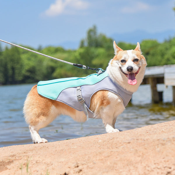 Summer Cooling Reflective Dog Jacket