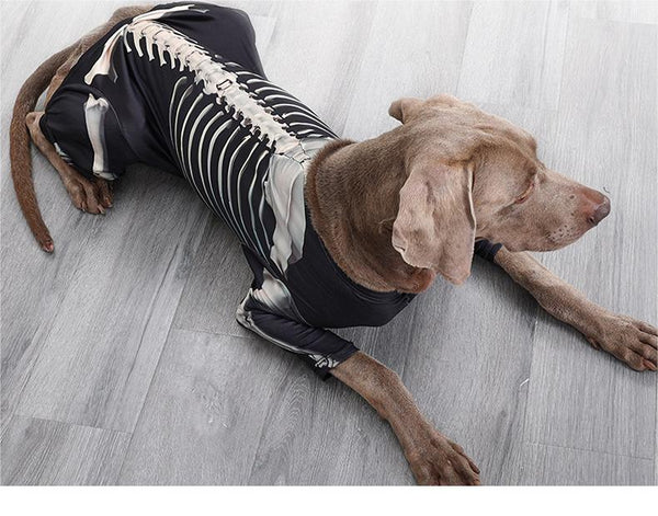 Pet Dog Halloween Clothes Skeleton Dog Costumes