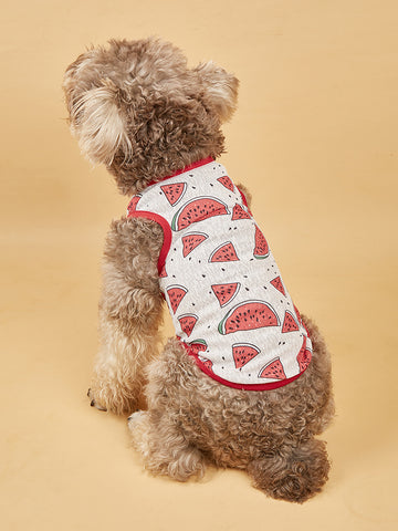 Summer Breathable Refreshing Dog Vest