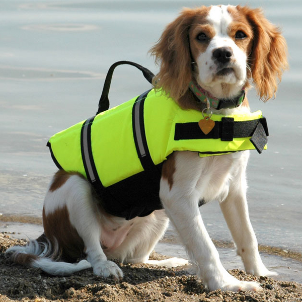 Light Reflective Adventure Dog Life Jacket