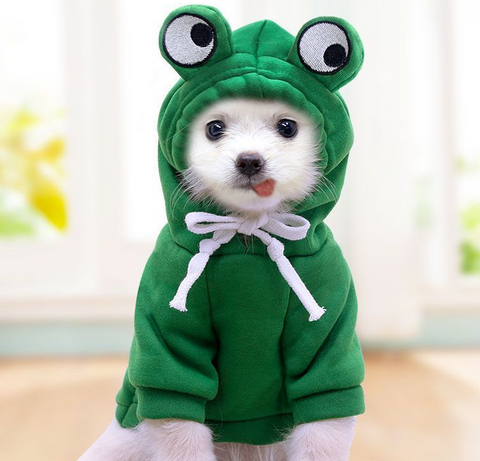 Green Frog Thicken Dog Hoodie