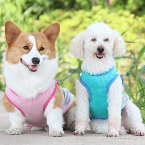 Summer Cooling Reflective Dog Vest